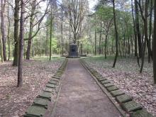 Akcje porządkowe cmentarzy wojennych z okresu I wojny Światowej na terenie Nadleśnictwa Brzeziny