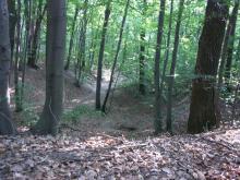 Rezerwat Parowy Janinowskie